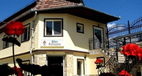 Pensiunea Elias Cluj-Napoca